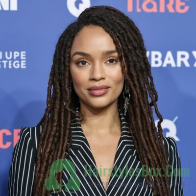 Faux Locs Hairstyle for Women
