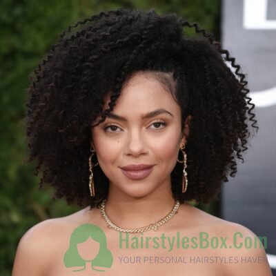 Twist-Outs Hairstyle for Women