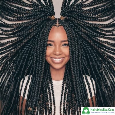 Box Braids Hairstyle for Ladies